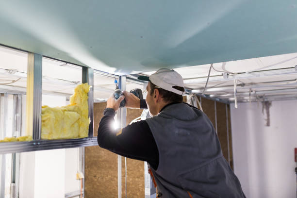 Best Cellulose Insulation  in Chester, MD