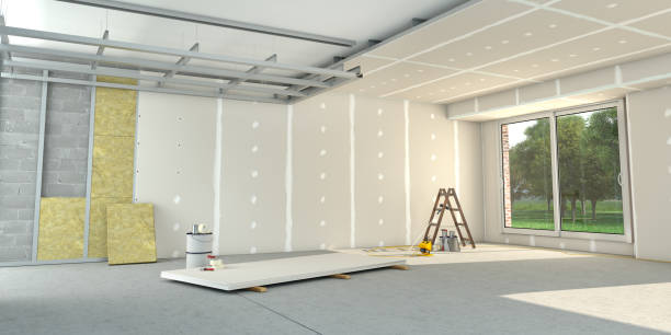 Best Insulation Removal  in Chester, MD