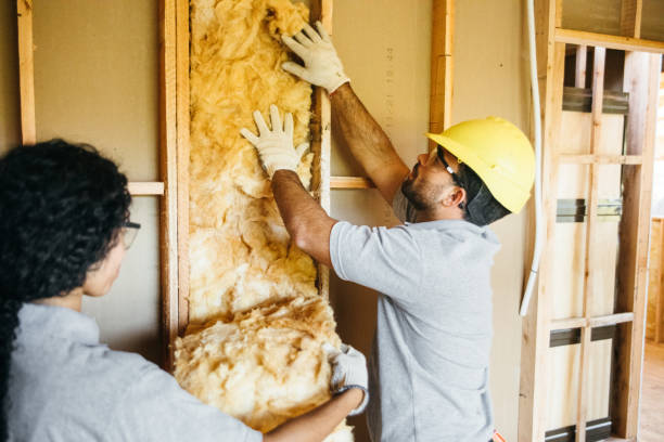 Best Soundproof Insulation Installation  in Chester, MD