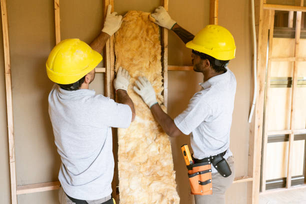 Best Insulation for New Construction  in Chester, MD