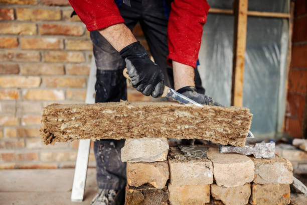 Best Residential Insulation Services  in Chester, MD
