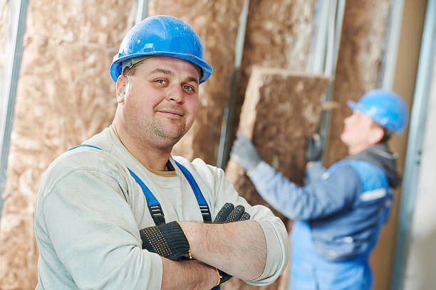 Best Insulation Contractor Near Me  in Chester, MD