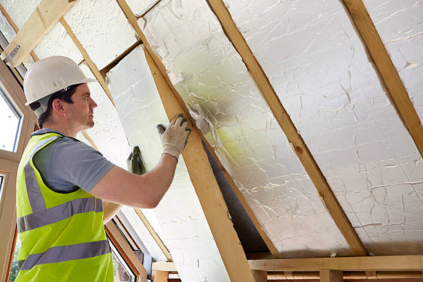Best Attic Insulation Installation  in Chester, MD