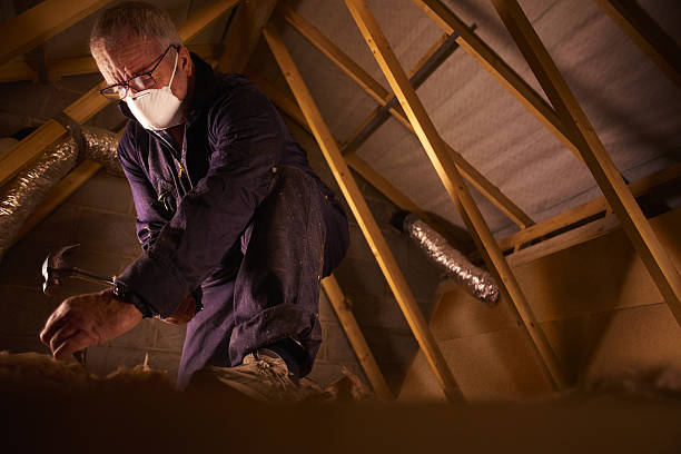 Best Crawl Space Insulation  in Chester, MD