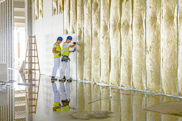 Best Blown-in Insulation  in Chester, MD